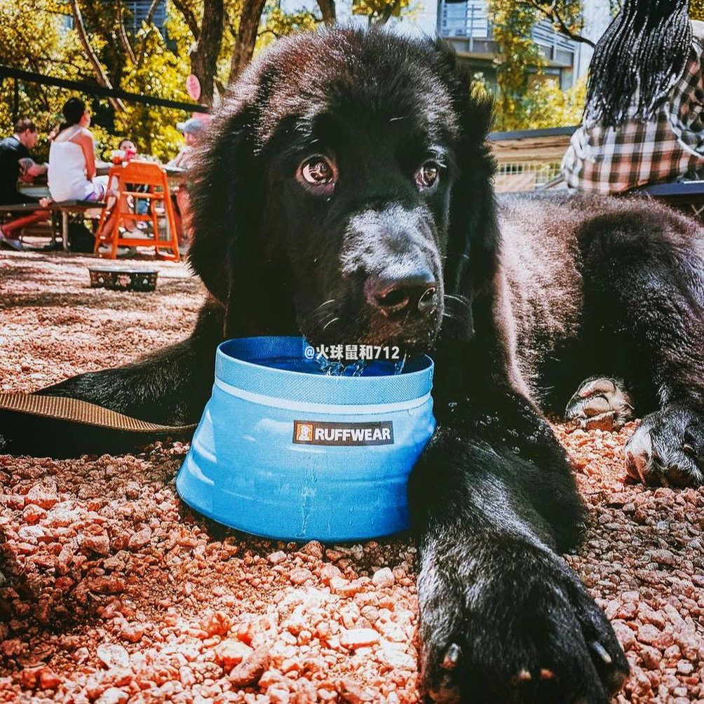 Fireball Squirrel and 712 Bowl Series Co-set Rav Wilderi RW Eat Bowl of Mouth Bowl Portable Bowl bib Bowl Bigger Basin