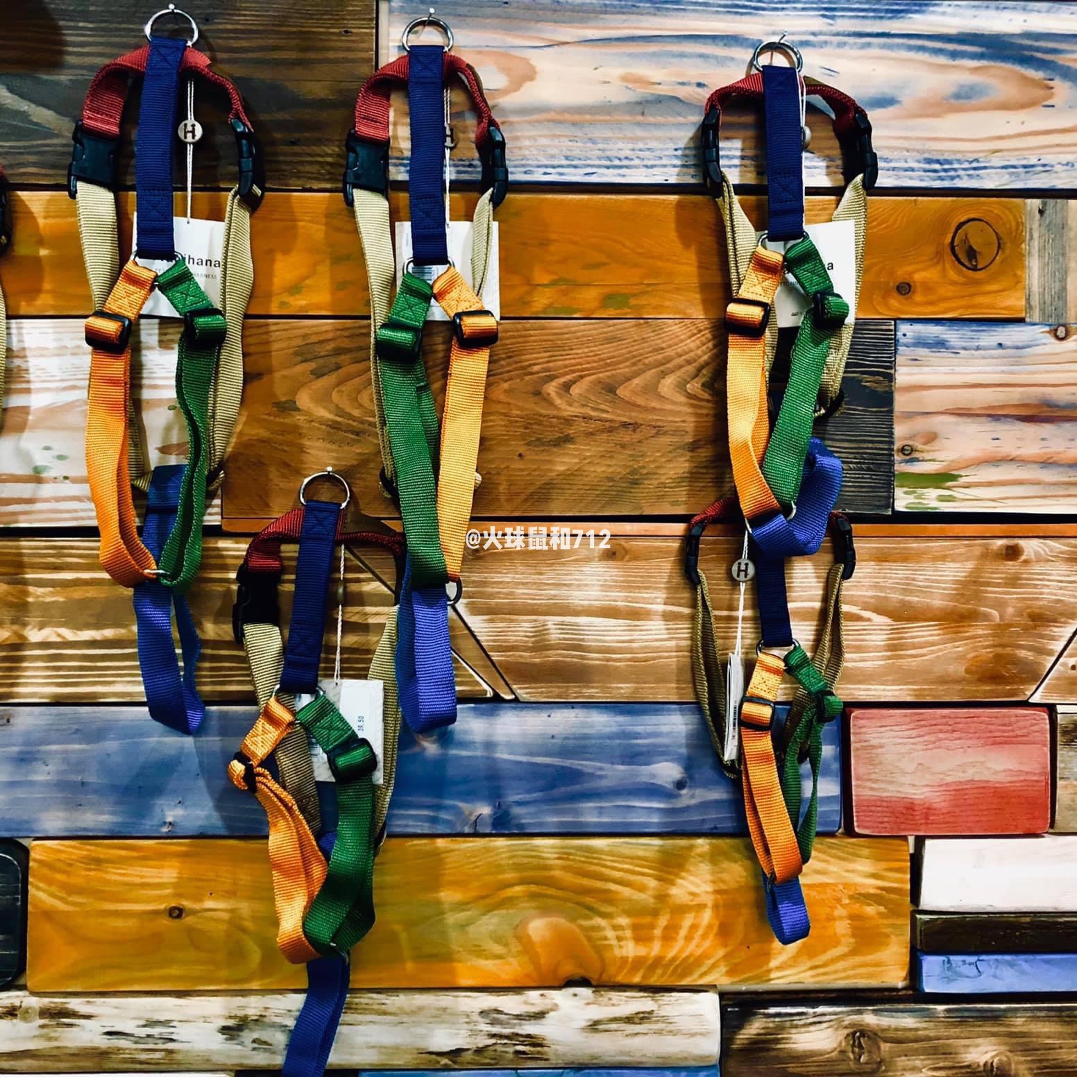 Fireball rat and 712 Italian haqihana limited edition of typeface-shaped dog chest back Rotterdam Mediterranean