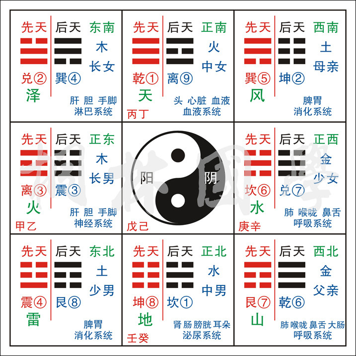 現代簡約風格的九宮八卦圖方位裝飾畫 易經知識學習用圖解畫作