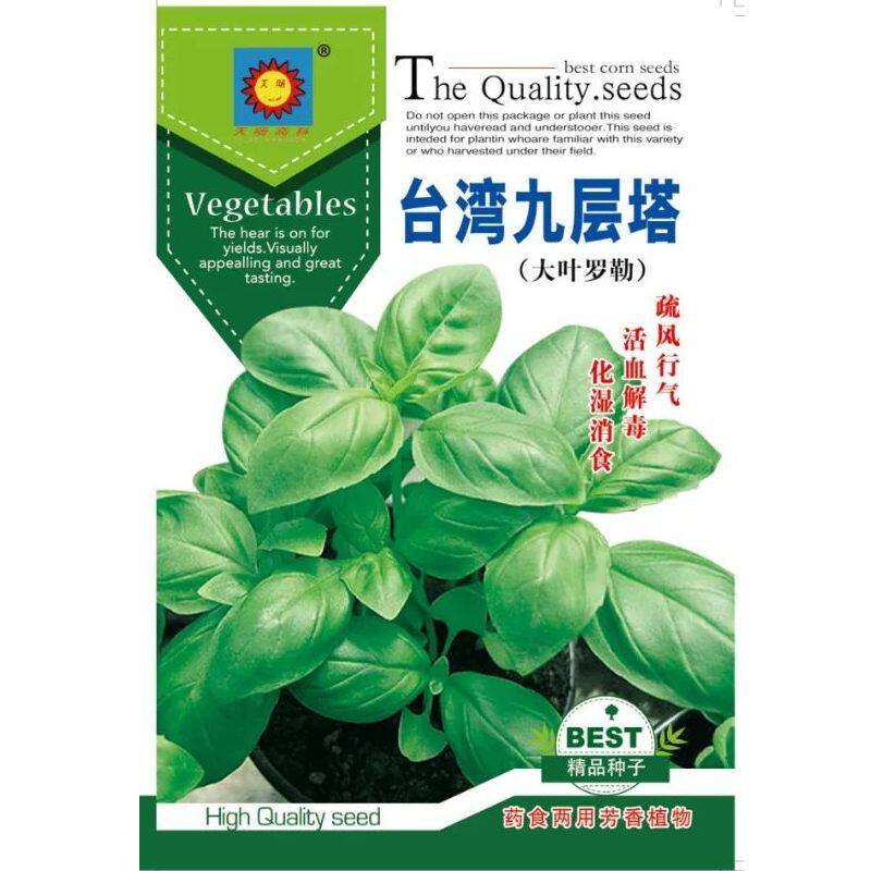 如何种植美味的大叶罗勒？食用罗勒的好处你知道吗？-空气净化剂-淘宝百科网
