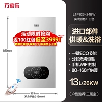 Белый 24BW настоящий цвет волос белый