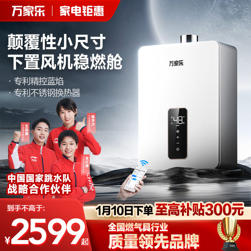 Wan family LeSmall volume size gas water heater servo thermostatic home gas frequency conversion mute 16 liters RS20-Taobao