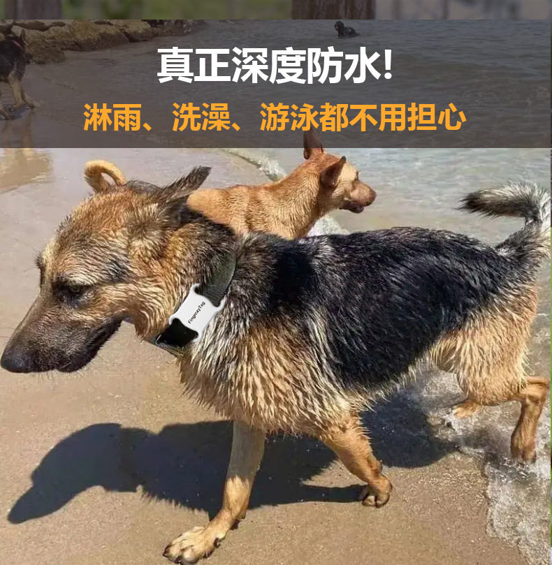 Смарт-оборудования для ношения / ошейники для питомцев 升级智能宠物定位器物件防丢器全球追踪狗狗子猫猫项圈防走丢追踪 Neutral