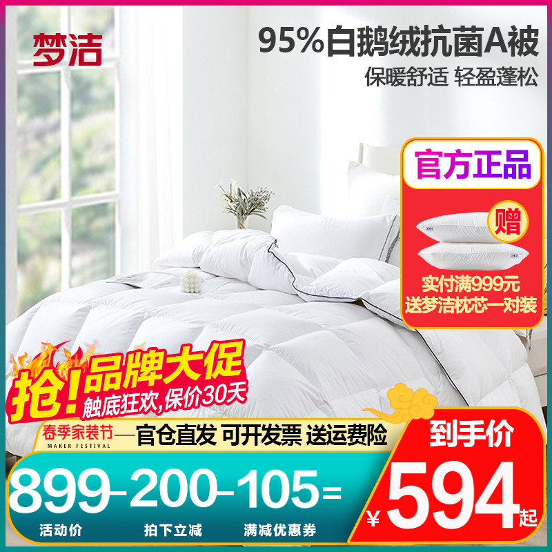 Dreamwork duvet quilted by 95 white goose down by winter by A class of antibacterial single double spring autumn quilt with thickened warm quilt core quilt