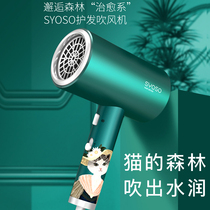 Silk Yun hair dryer net red negative ion hair care home high-power hot and cold air duct dormitory quick-drying Xinjiang