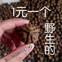 Three-sided walnut Four-sided walnut Special-shaped walnut Wenwan walnut Playing walnut Wild