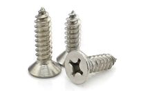 304 stainless steel countersunk head cross self-tapping screw KA flat head pointed tail self-tapping small screw M2 3M2 6M3M4