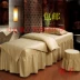 Beauty bed cover phân khúc massage cơ thể Beauty bed cover có thể được tùy chỉnh khác nhau thông số kỹ thuật bao gồm bốn ga trải giường gội đầu Trang bị tấm
