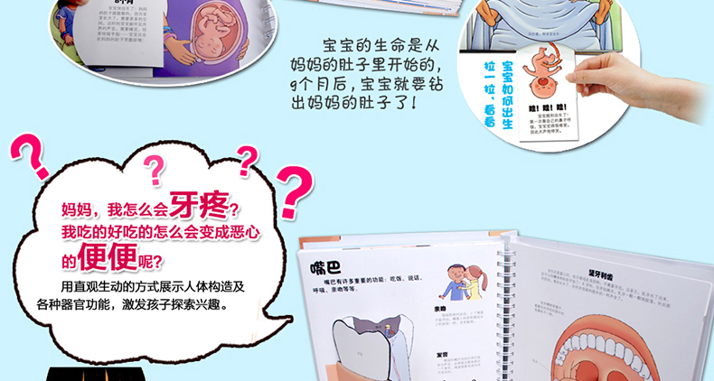 儿童生理启蒙百科《我们的身体》3D立体翻翻书 图4