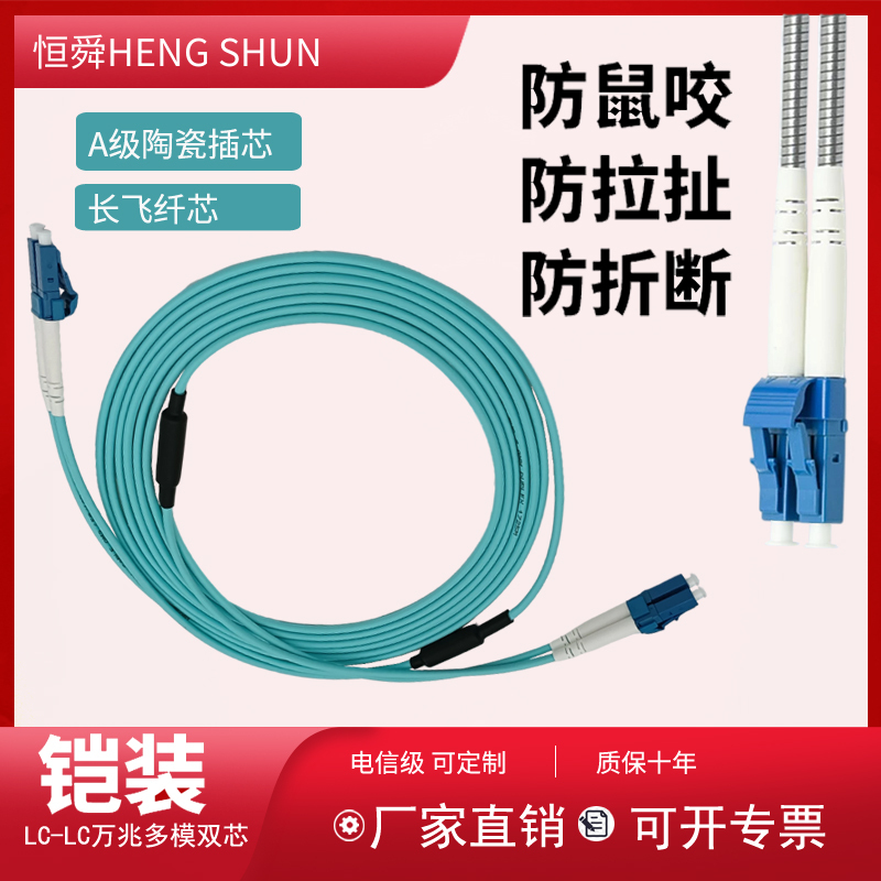 Hengshun Armored Optical Fiber Jumper Om3 Carrier Grade 10g Multi-Mode Dual-Core Lc-Lc Anti-Breakage Rat Bite 3.5m