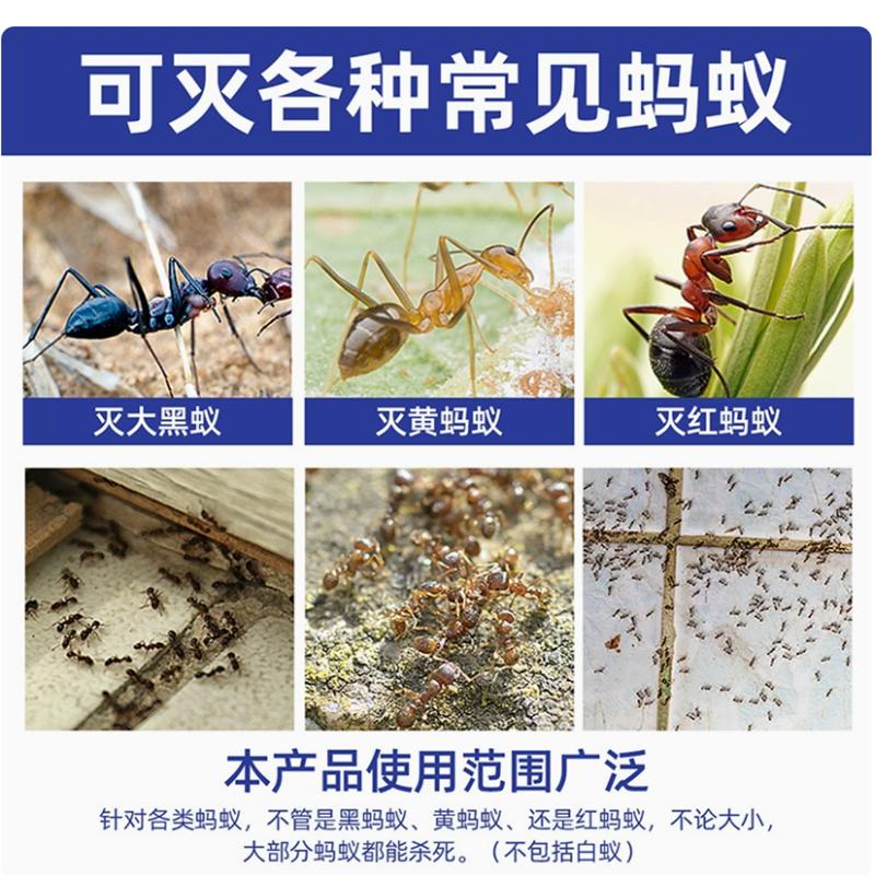 郁康灭除蚂蚁药：告别红火蚁困扰，守护家庭安宁！