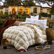 Down quilt 95 white goose down thickened warm winter quilt single double hotel brushed spring and autumn quilt quilt core