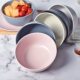 Japanese style dining utensils microwave oven bowl