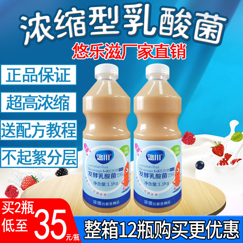 Yichuan Concentrated Lactic Acid Beverage Large Bottle Fermented Probiotics Bacteria Multi-yogurt Milk Tea Shop Special Raw Materials