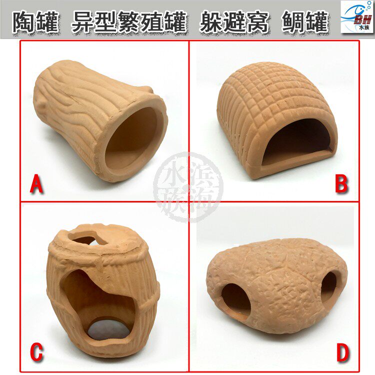 Aquatic building with gold beard for large sails, crystal shrimp cohorts for irregular hiding horses snapper pot Pottery Jars Breeding Houses