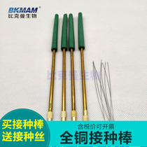  All copper inoculation rod send inoculation wire edible fungus inoculation needle microbial inoculation ring stainless steel metal sampling rod
