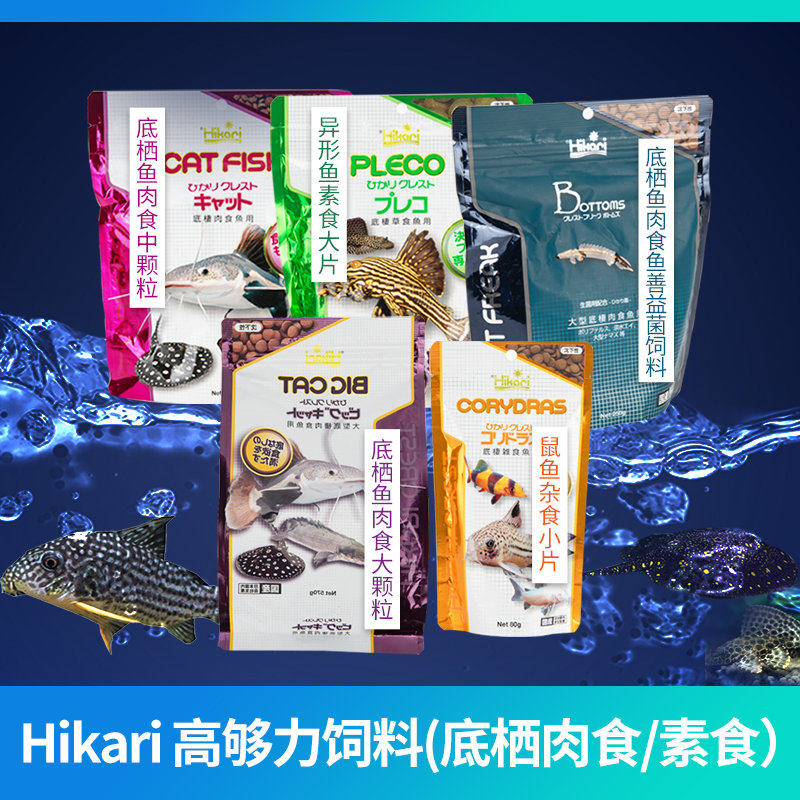 🐟 A must-have for raising exotic fish! hikari fish food imported from ...
