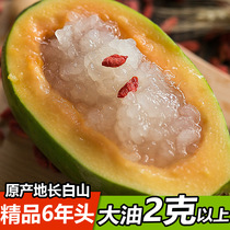 Northeast forest frog more than 2 5 grams of papaya stewed snow clam large oil 20 grams of dry foot supplement progesterone preparation for pregnant ovary care