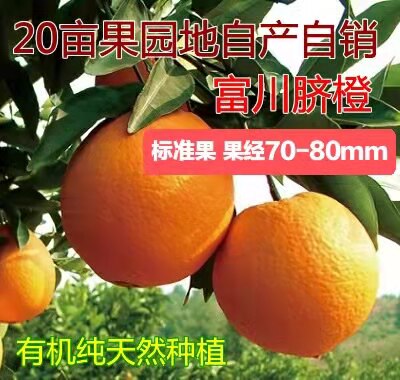 Zhengzong Fuchuan navel orange organic planting orange hand exfoliating orange non-Jiangxi Gannavel orange