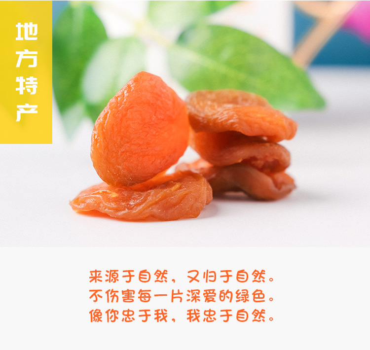 【山西特产】酸甜杏干果脯条1000g