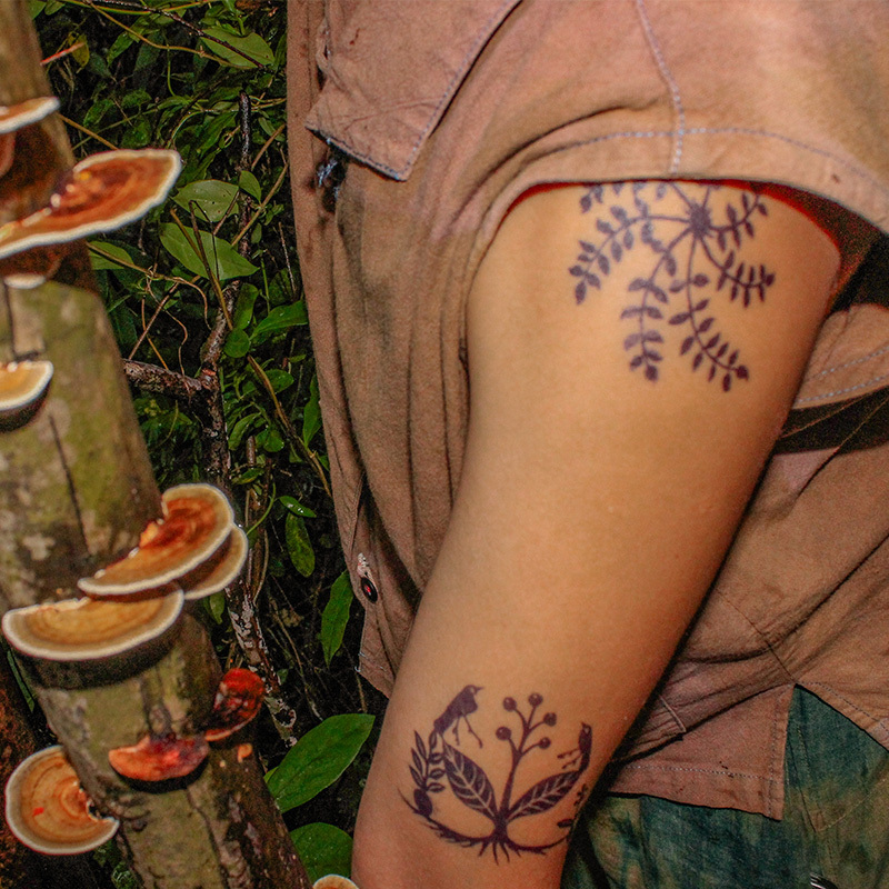 【Fantasy Plants】Natural Herbal Tattoo Stickers Juice Waterproof Magical Herbal Mysterious Totem