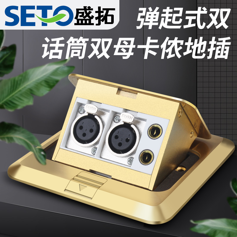 Sheng Tuo Double 6 5 Microphones Double Mother Cannon Module Double Cannon Head Ohm Head Pop-up Copper Earth Socket