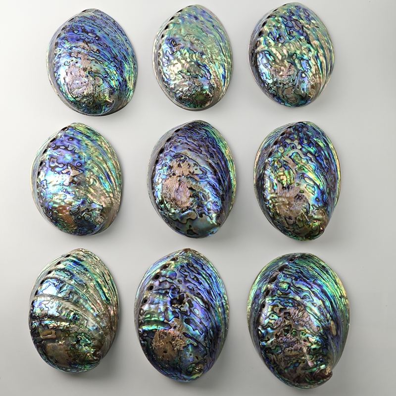 Polished New Zealand Black Gold Abalone Shell, Colorful Blue Abalone Shell, White Sage Crystal Demagnetization Disc, Aquarium Landscaping, Tea Scoop