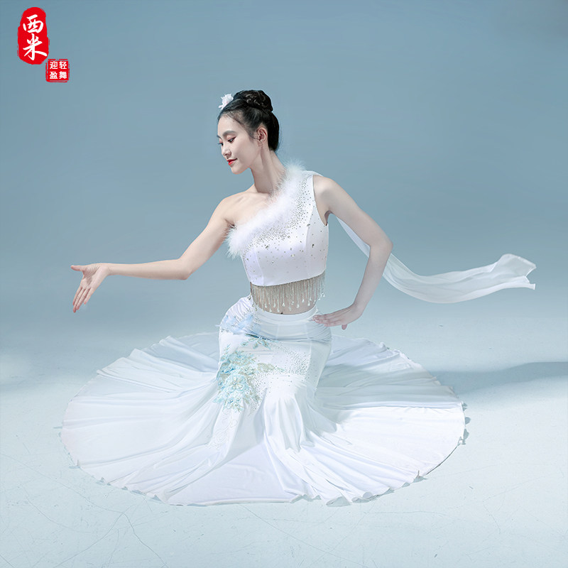 Dai Ethnic Dance Play Out Women's Body Wrap Hip Fish Tail Skirt Performance Serve the Birds The Same Art Exam Clothes Fluor Custom-Taobao