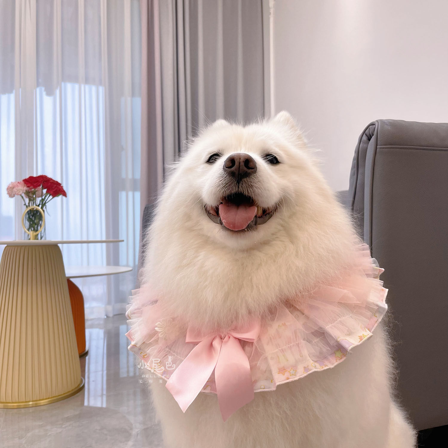 Small tail pet medium and large dog dog Samoyed Husky dog ​​strap pearl mesh gauze bib scarf