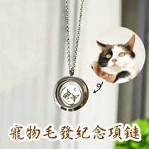 Original design to customize cat dog pet hair necklace necklace necklace pendant girlfriend gift