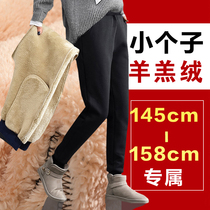 Pregnant Woman Pants Winter Plus Thickened Cotton Pants Small Sub Warm Pants Woman Autumn Winter Style Lamb Suede 80% Toabs Pants