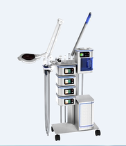 Daily version Sonia multifunction comprehensive beauty meter suction spray ultrasonic high frequency shovel leather hairbrush import export hot spray