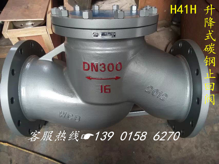 H41H-16C cast steel steam lifting flange check valve DN50 65 80100125150200