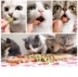 Pet đặt bánh quy mèo mèo cỏ bạc hà đóng hộp mèo con tẩy lông bóng nhỏ cá khô răng làm sạch răng hàm mèo ăn nhẹ vỗ béo - Đồ ăn nhẹ cho mèo