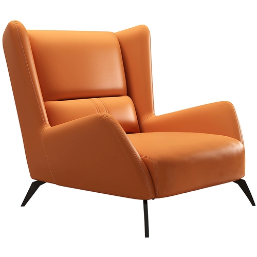 Минималистичный дизайнерский диван для отдыха, популярно в интернете, тигр