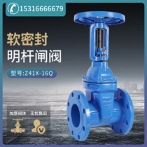 Shanghai Hugong Valve Lianggong Z41X rising stem soft seal gate valve pump room tap water fire flange ductile iron