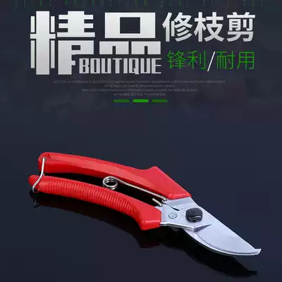 Alice ARS 130DX gardening imported household tools pruning thick branch scissors Fruit tree flower scissors garden