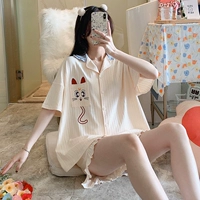 2737 Pocket Moon Cat Corle Color