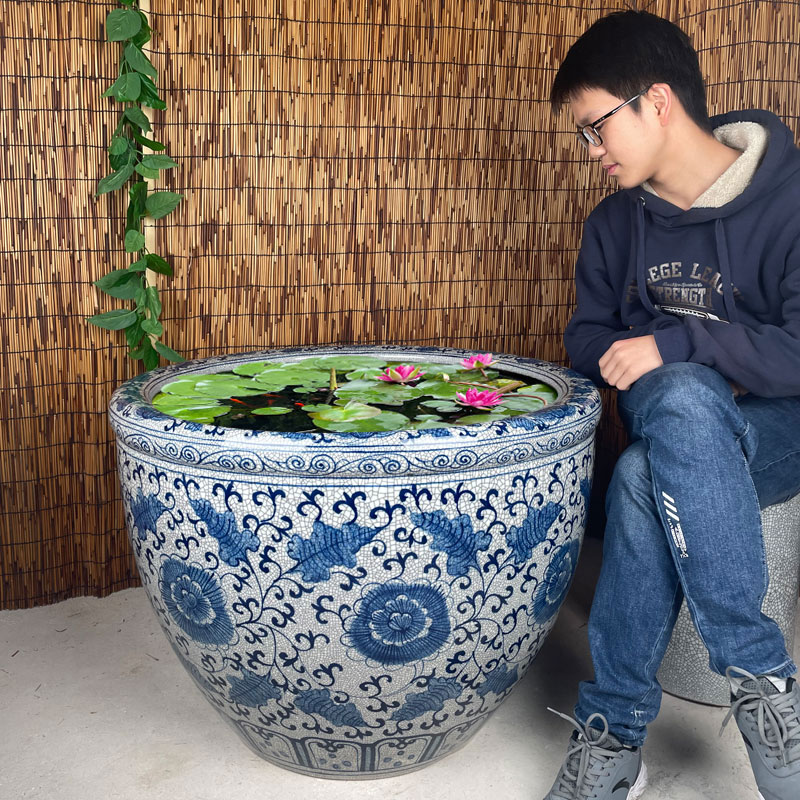 Planting tree flower pot ceramic fish tank 60 large large lotus water lily pot tank 80 blue and white porcelain old-fashioned water tank courtyard 50