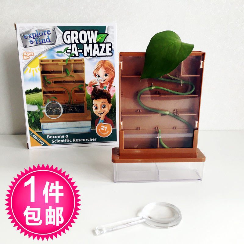 Plant Labyrinth Science Watch Experiment seed germination growth STEM Exploration for young children's popular science games