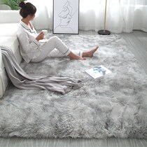 Carpet Bedroom Female Resistant Living Room Net red bed blanket doormat floating and mattress mattress mattress room full