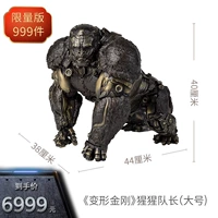 Горилла капитан туба