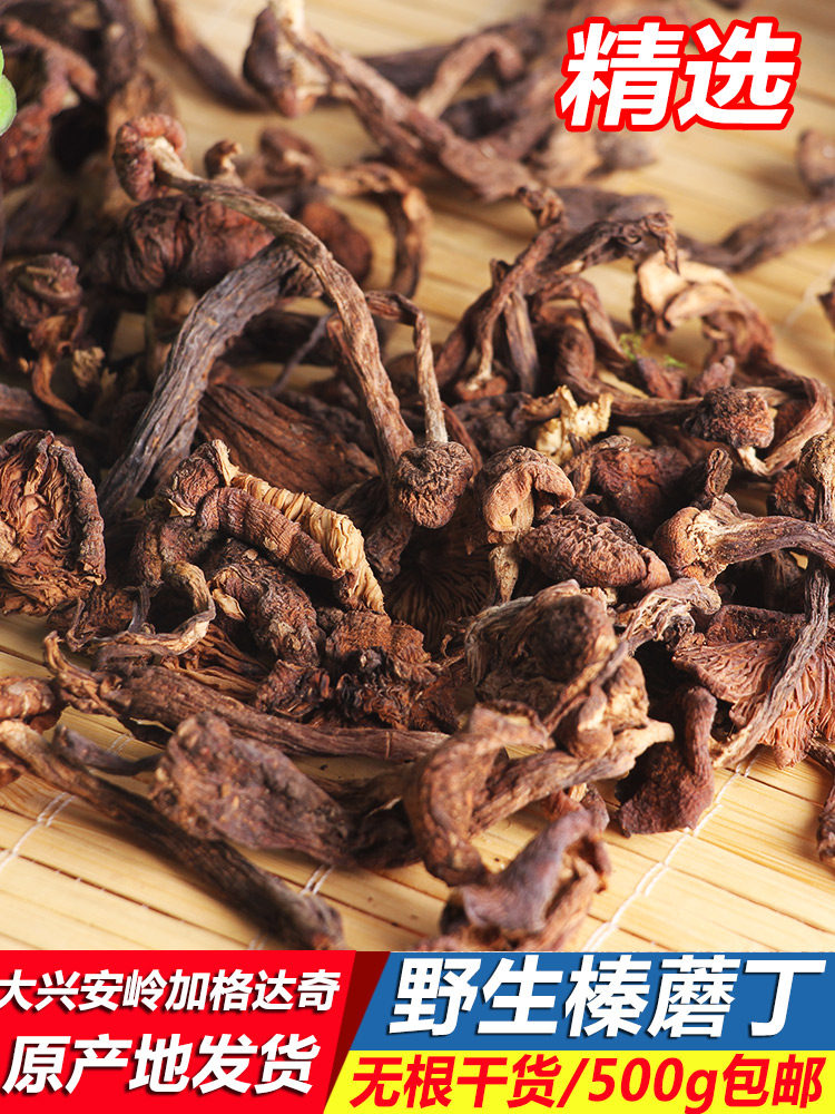 Daxinganling Northeast specialty wild dried mushroom hazelnut mushroom chicken stewed mushroom rootless dried hazelnut mushroom diced 500g