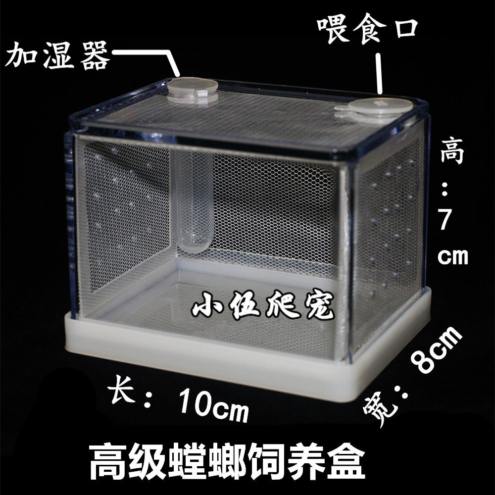 Advanced Mantis Breeding Box High Through Insect Rearing Box Chirbug Rearing Box Insect Watch Box
