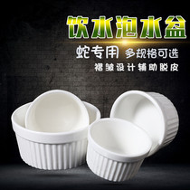 Reptile anti-escape Snake Drinking water Bubble basin Eating basin Maned lion Lizard Palace guard Barley worm Bread worm Climbing pet