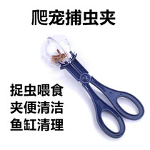 Reptile insect trap Live cricket Dolby Asian bread worm Barley worm Tweezers Insect trap Maned lion guard toilet
