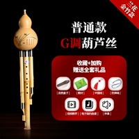 Золотой бамбук, обычный geta