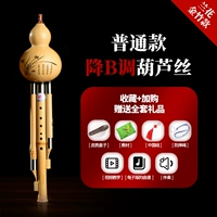 Золотой бамбук обычный фонд бровей