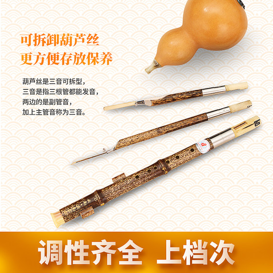 Hulusi professional playing type B flat minor D minor c minor A minor G minor F minor southern Yunnan ancient rhyme primary school student adult instrument