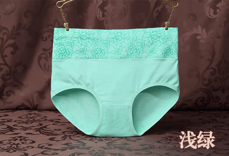 Slip simple en coton - Ref 639755 Image 14